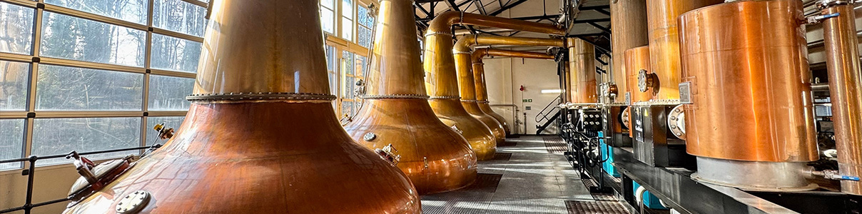 Produttore: Destilerías Joaquín Alonso