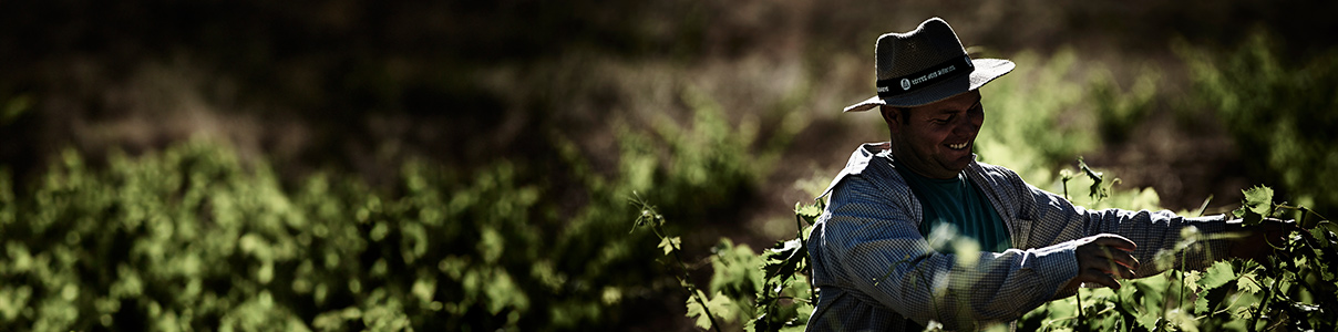 Produttore: Rafael Cambra