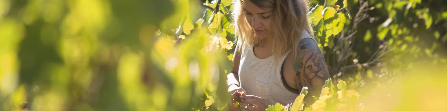 Produttore: Bien de Altura