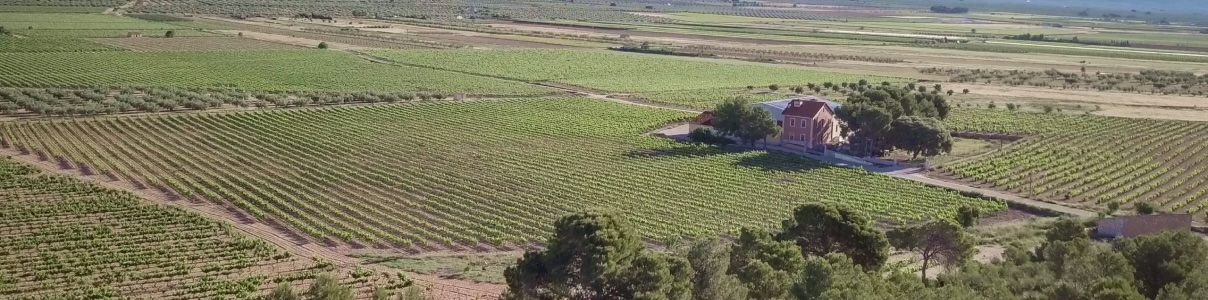 Produttore: Casa Balaguer