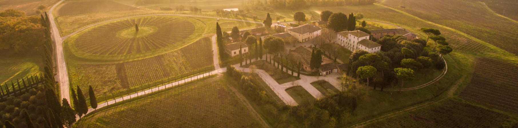 Produttore: Avignonesi 