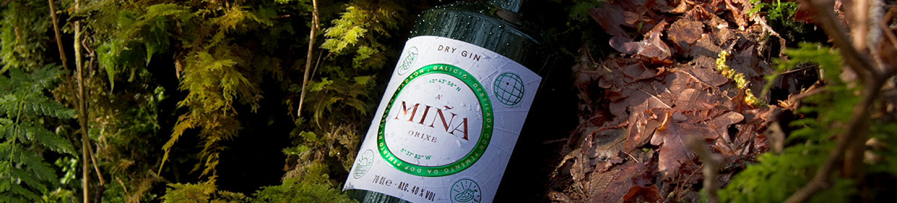 A Miña Orixe