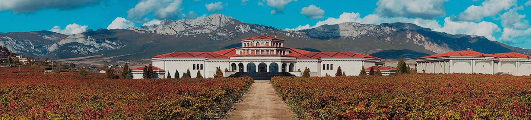 Bodegas Campillo