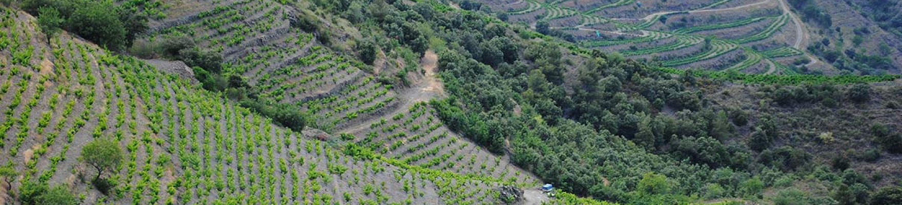 Celler de L´Encastell