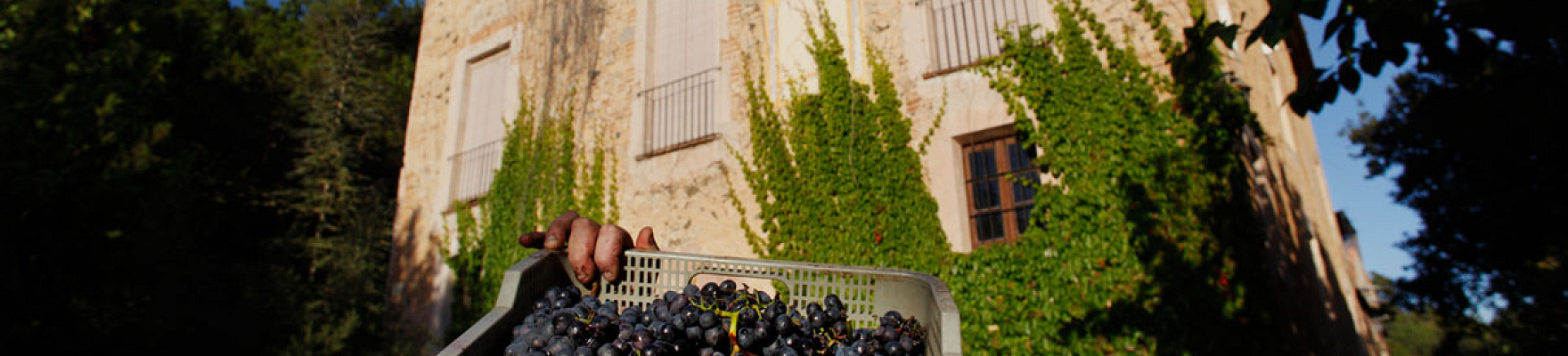 Celler de l'Era