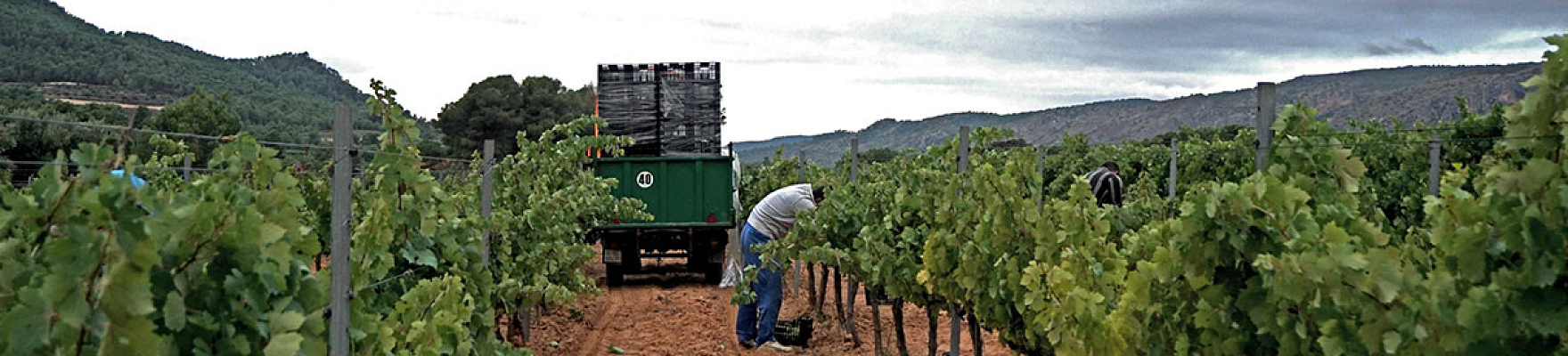 Bodega Clos Cor Ví