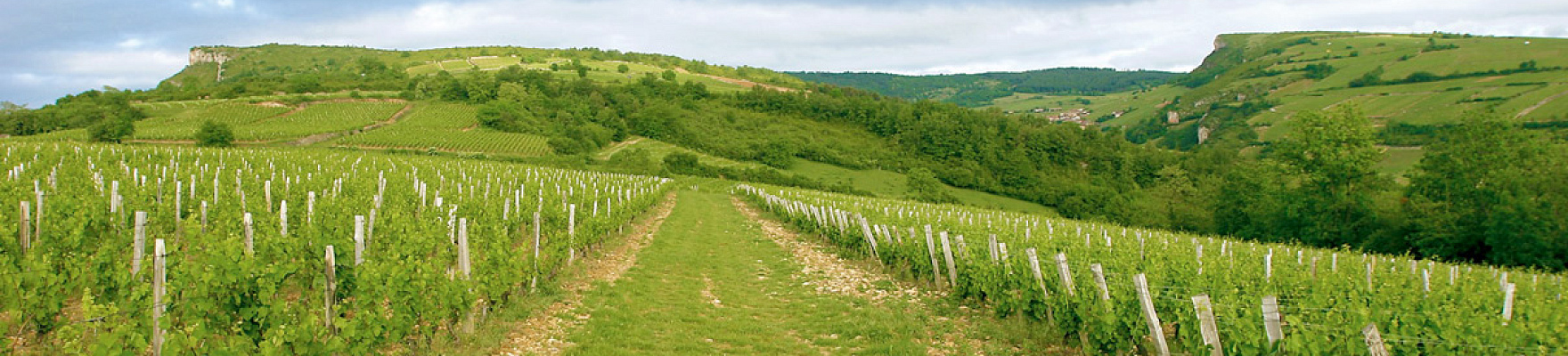 Domaine de la Croix Senaillet