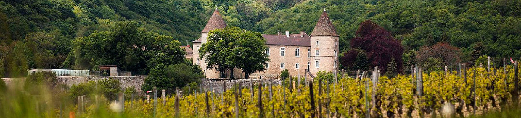 Domaine Guillot-Broux