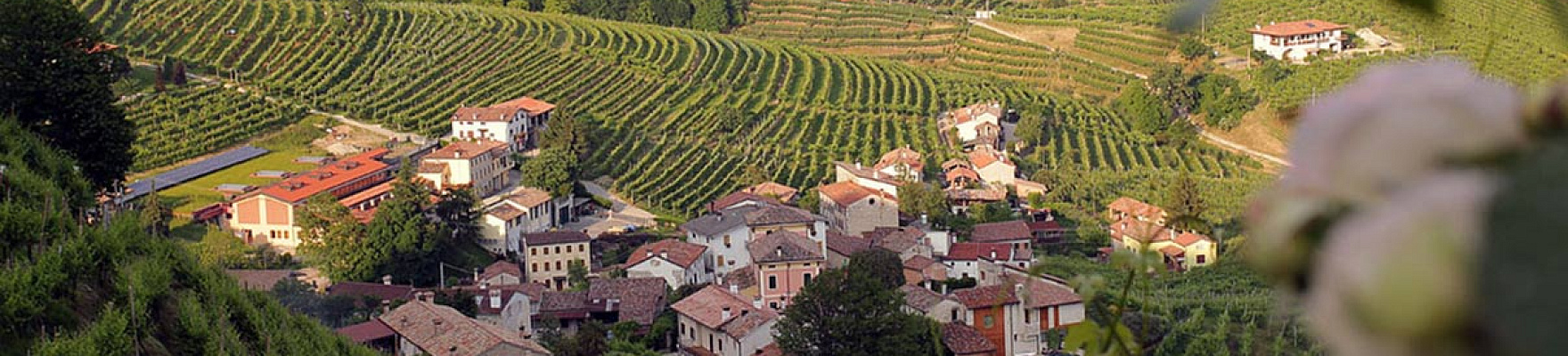 Azienda Vinicola Follador