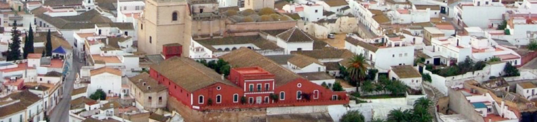 BODEGAS HALCÓN