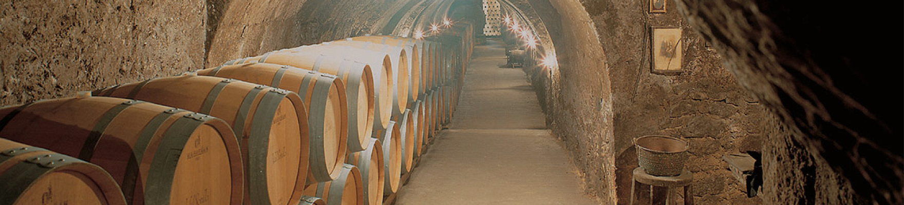 Bodegas Ismael Arroyo