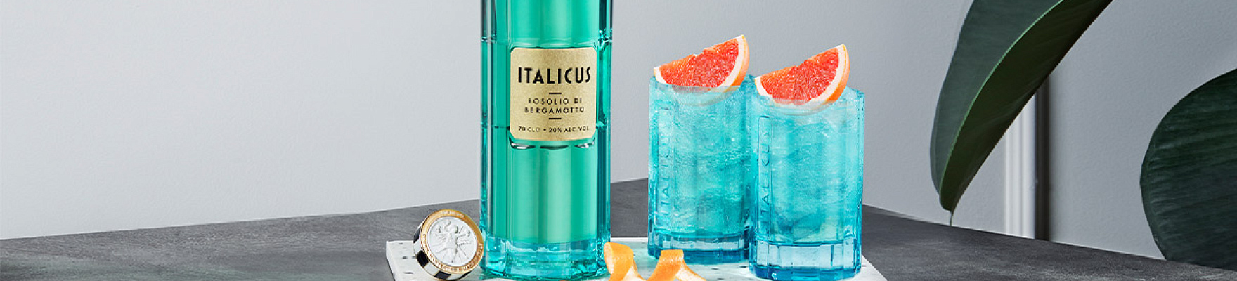 Italicus