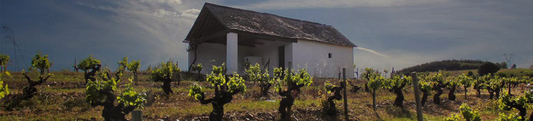 Bodegas y Viñedos Merayo