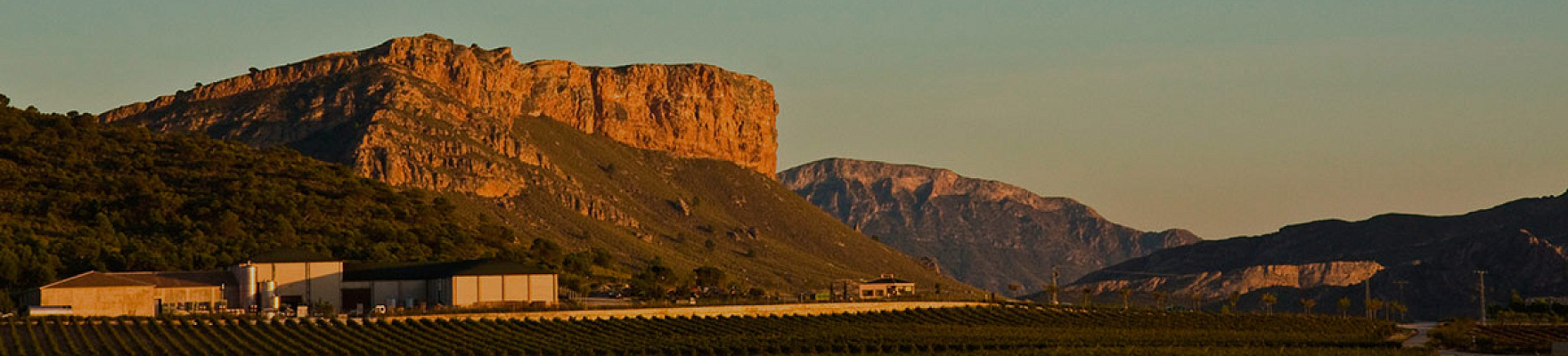 Bodegas El Nido