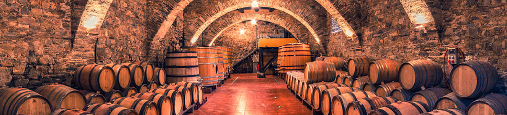 Raúl Pérez Bodegas y Viñedos