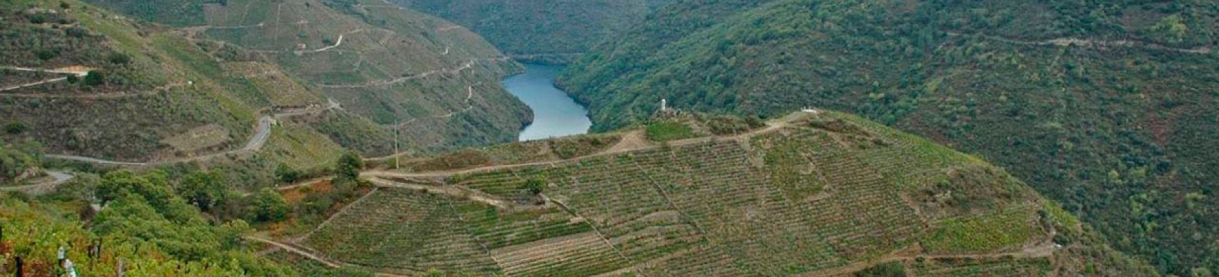 Paisaje montañoso de la Ribeira Sacra