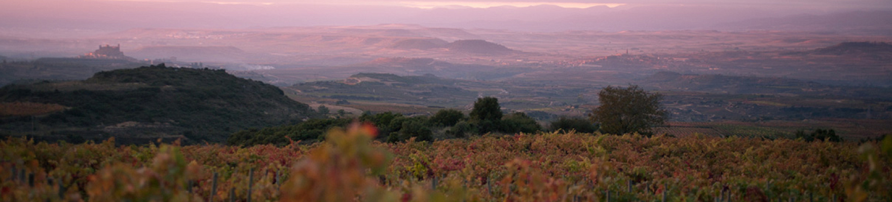 La Granja Ntra. Sra. de Remelluri