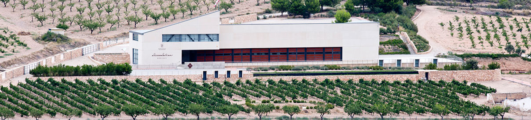 Bodegas Sierra Salinas