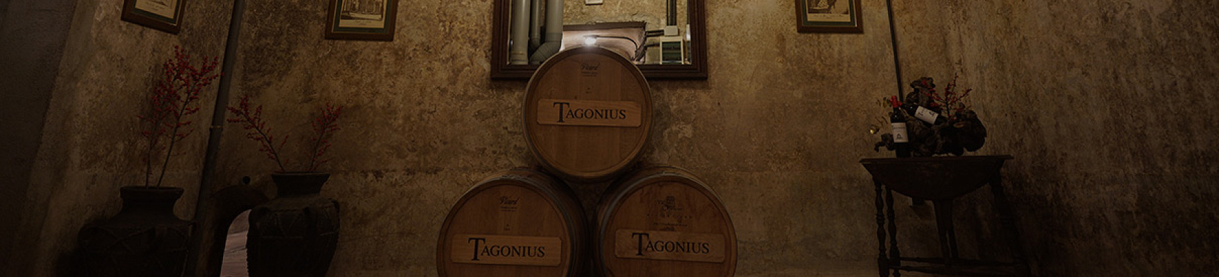 Tagonius