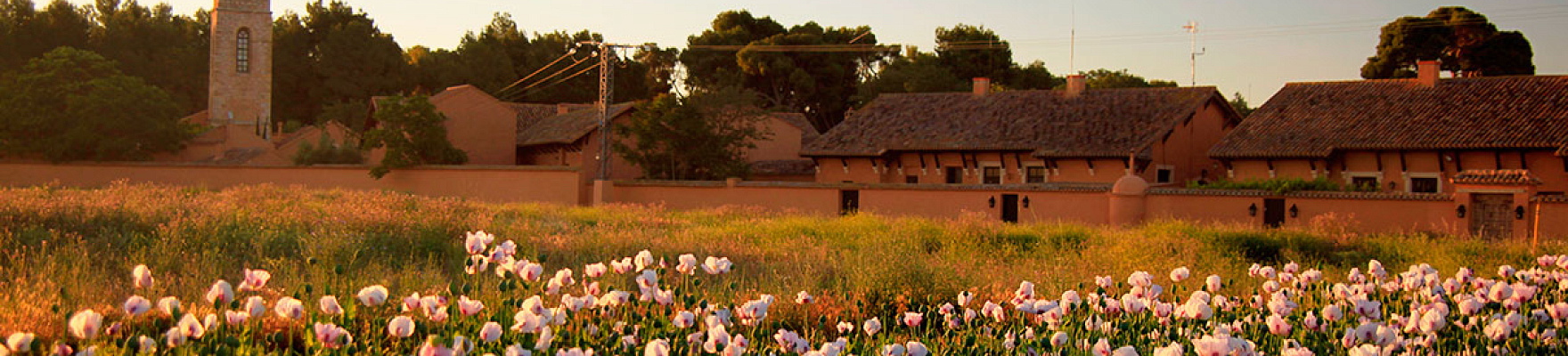 Dehesa de los Llanos