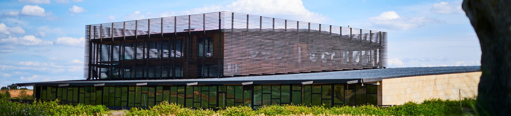 Produttore: Bodega Bela
