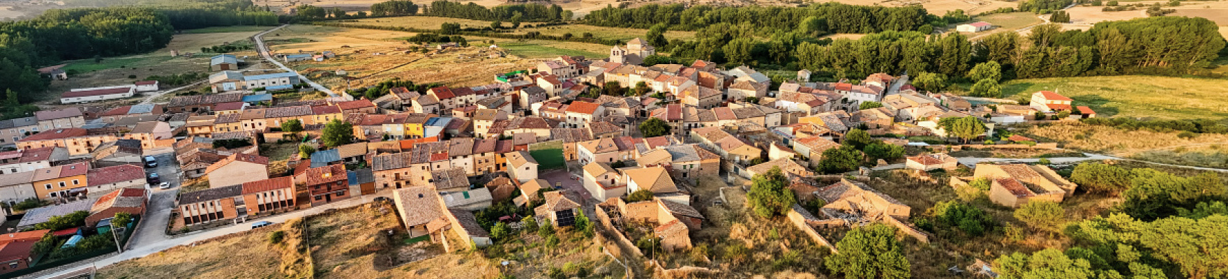 Produttore: Galia Soriana