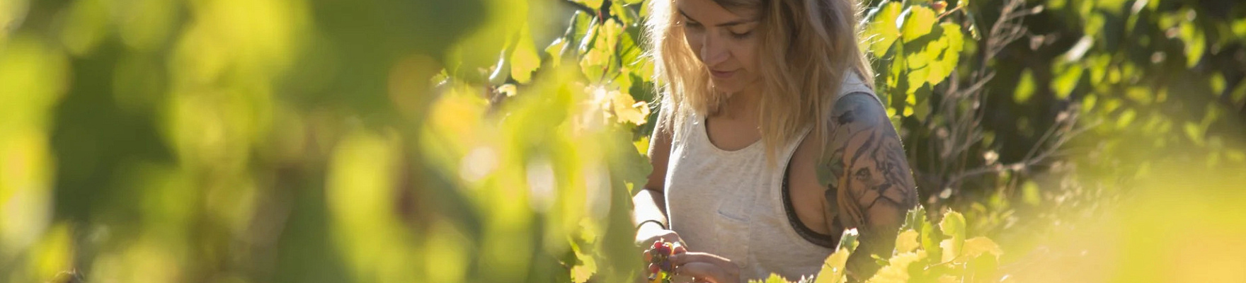Produttore: Bien de Altura