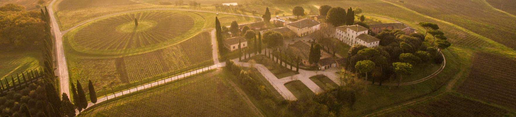 Produttore: Avignonesi 