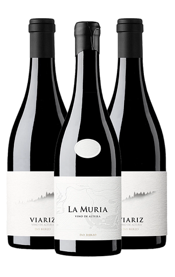 Prodotto: Magia nel Bierzo (x3)