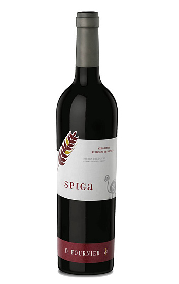 Spiga 2010