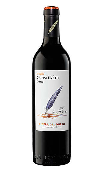 Cepa Gavilán Crianza 2017 Magnum