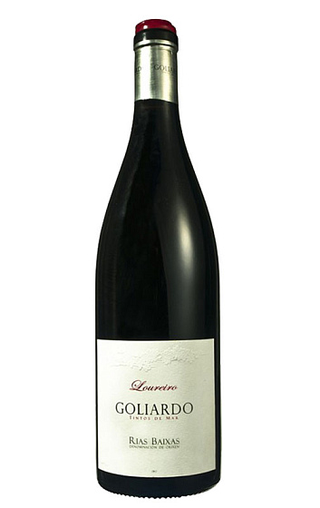 Goliardo Loureiro 2017