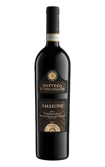 Bottega Il Vino degli del Amarone della Valpolicella 2016