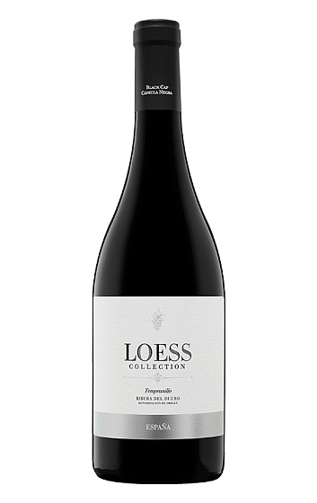 Loess Collection 2018