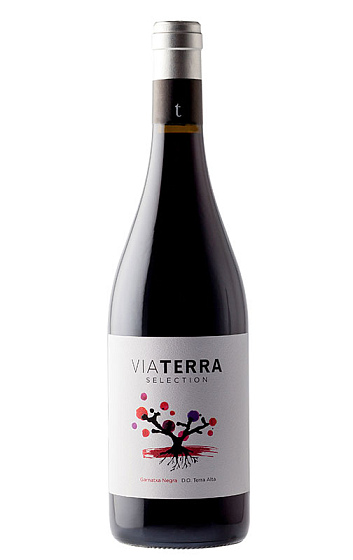 Via Terra Selection Tinto 2021