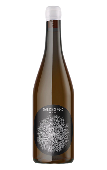 Prodotto: Salicornio Moscatel 2024