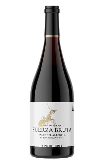 Prodotto: Fuerza Bruta 2024
