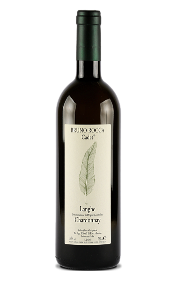 Prodotto: Bruno Rocca Langhe Cadet 2024