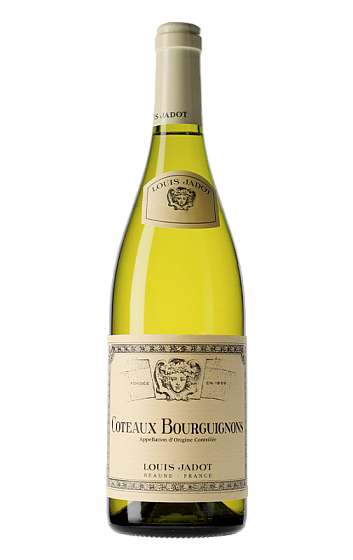 Prodotto: Louis Jadot Coteaux Bourguignons Blanc 2024