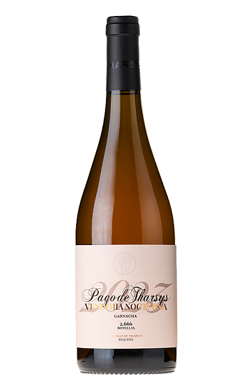 Prodotto: Tharsys Vendimia Nocturna Rosado 2025