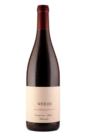 Prodotto: Weingut am Schlipf Schneider Weil am Rhein Ortswein Spätburgunder 2023