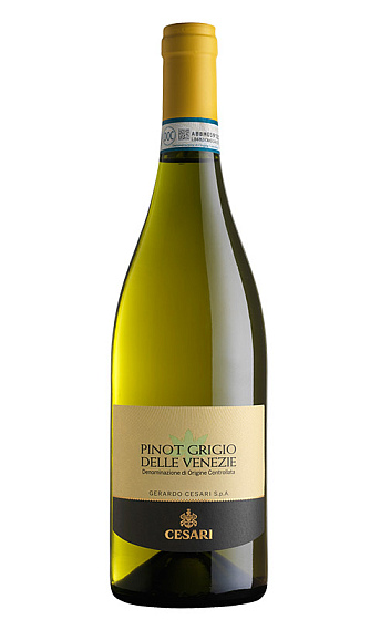 Prodotto: Cesari Pinot Grigio Delle Venezie 2025