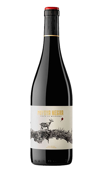 Prodotto: Payoya Negra 2023