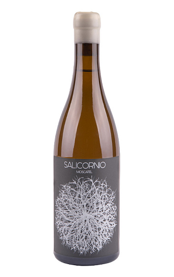 Prodotto: Salicornio Moscatel 2023
