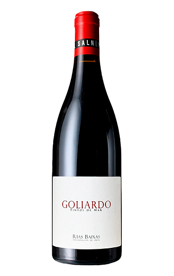 Prodotto: Forjas del Salnés Goliardo Tinto 2023