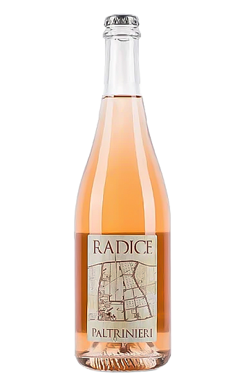 Prodotto: Paltrinieri Lambrusco di Sorbara Radice 2025