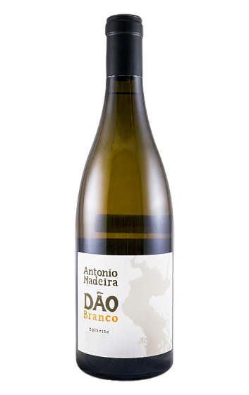 Prodotto: António Madeira Branco 2024