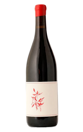 Prodotto: Arnot-Roberts Heaven and Earth Pinot Noir 2024