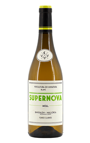 Prodotto: Ca'n Verdura Supernova Moll 2025
