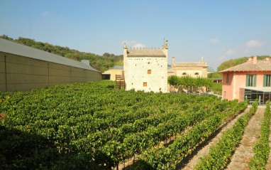 Propiedad de Arínzano, sede de la bodega